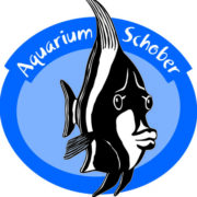 (c) Aquarium-schober.at